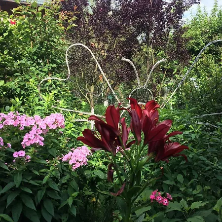 Hotel U Yaroslava Jaremcze