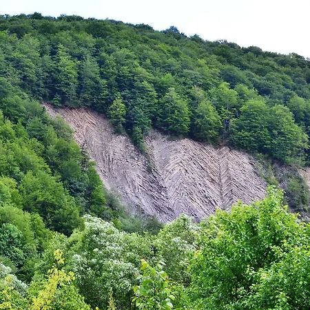 Hotel U Yaroslava Yaremche